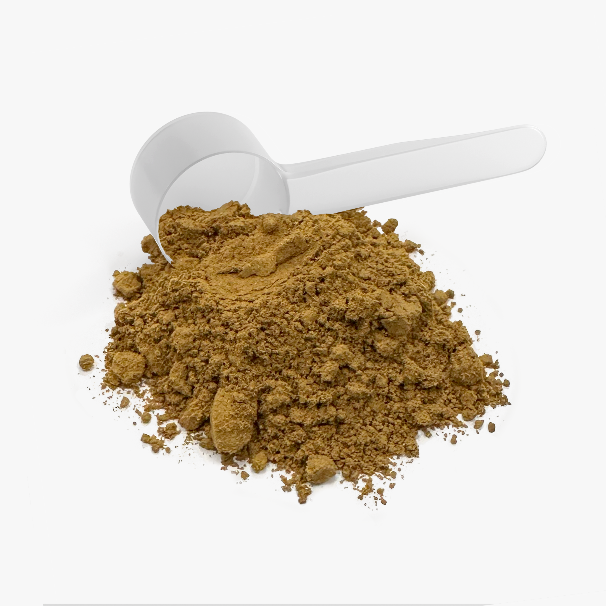 CWH Supply - Mushroom Fuse Instant Coffee (Medium Roast)