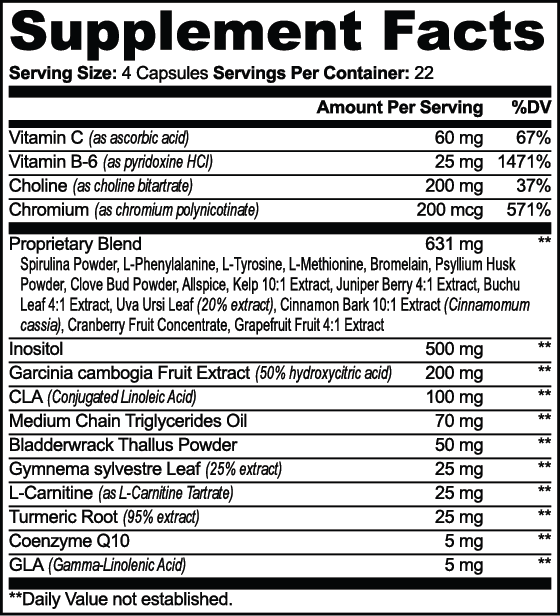 CWH Supply - Fat Burner with MCT